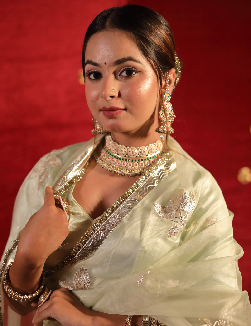 CHAND Soft organza in pastel green, handwork Saree.